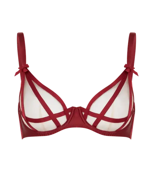 Briella Plunge Underwired Bra Burgundy | Agent Provocateur